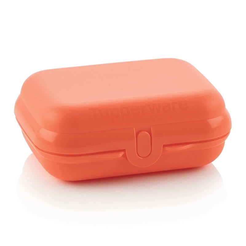 Tupperware eco+accessory oyster small